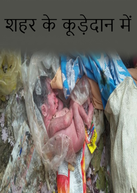 शहर के कूड़ेदान  में