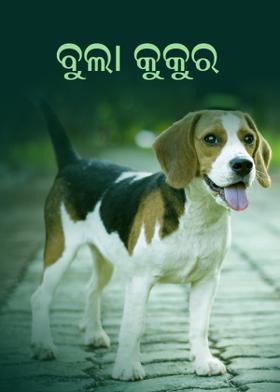 ବୁଲା କୁକୁର