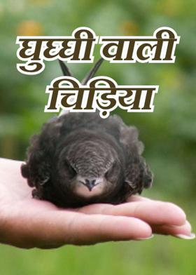 घुघ्घी वाली चिड़िया