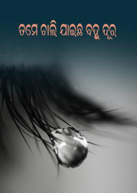 ତମେ ଚାଲି ଯାଇଛ ବହୁ ଦୂର