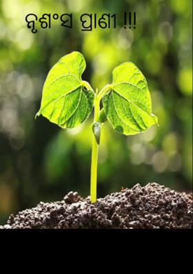 ନୃଶଂସ ପ୍ରାଣୀ