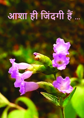 आशा ही जिंदगी हैं ...