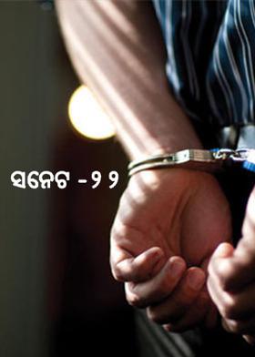 ସନେଟ -୨୨