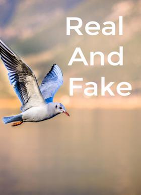 Real And Fake