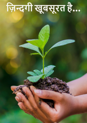ज़िन्दगी खूबसूरत है...