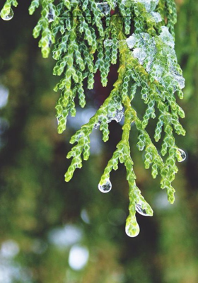 जीवन के पन्ने