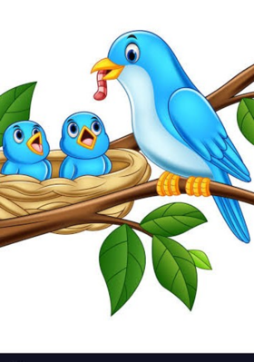 पक्षिणीची माया..!