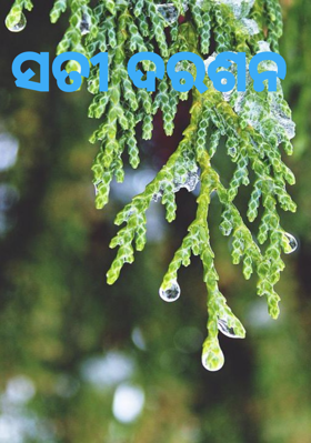 ସତୀ ଦରଶନ