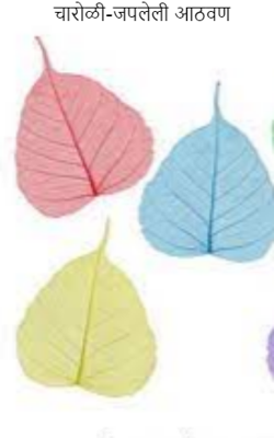 चारोळी-जपलेली आठवण