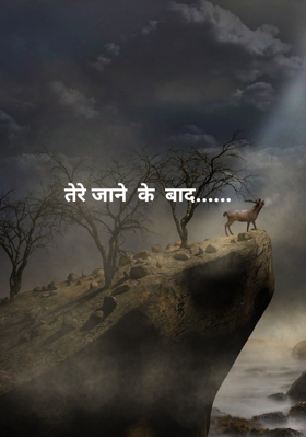 तेरे जाने  के  बाद......