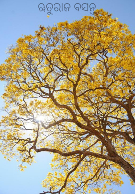 ଋତୁରାଜ ବସନ୍ତ