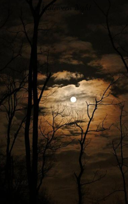 Halloween Night