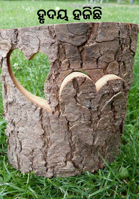 ହୃଦୟ ହଜିଛି