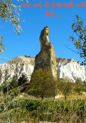 નવા વર્ષની ઉજવણી નવી રીતે