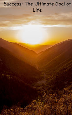 Success: The Ultimate Goal Of Life