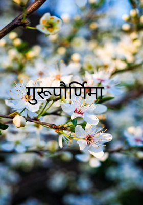 गुरूपौर्णिमा