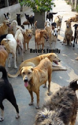 Rover's Family