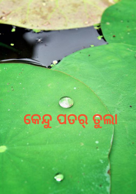 କେନ୍ଦୁ ପତର୍ ତୁଲା 