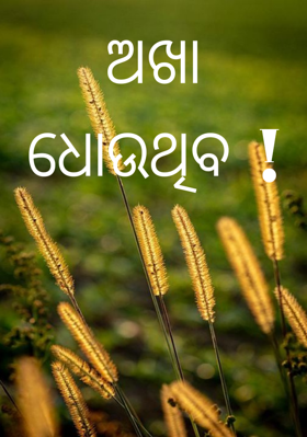 ଅଖା ଧୋଉଥିବ