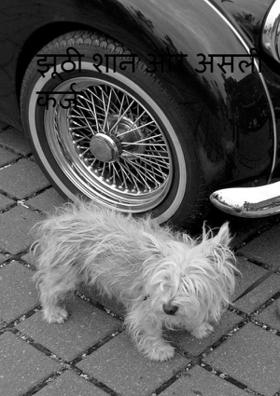 झूठी शान और असली कर्ज