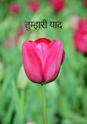 तुम्हारी याद