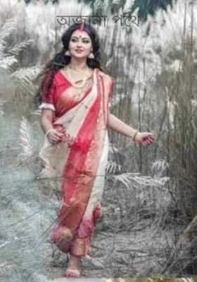 অজানা পথে (  পর্ব  -  ৩০  )