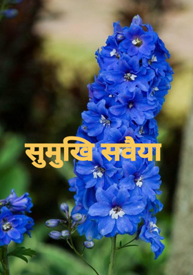 सुमुखि सवैया