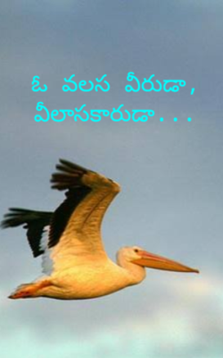 ఓ వలస వీరుడా, వీలాసకారుడా...