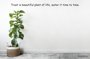 Trust is beautiful plant of life, water it time to time.