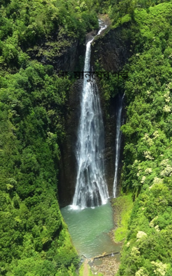 না-মানুষের গল্প