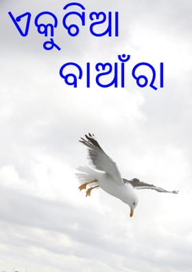 ଏକୁଟିଆ ବାଆଁରା
