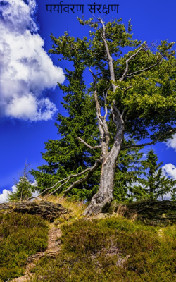 पर्यावरण संरक्षण