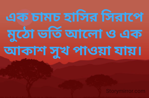 এক চামচ হাসির সিরাপে মুঠো ভর্তি আলো ও এক আকাশ সুখ পাওয়া যায়। 