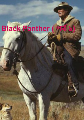 Black Panther ( পর্ব ১}