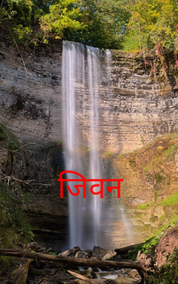 जिवन