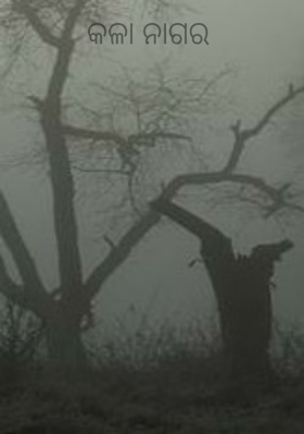 କଳା ନାଗର