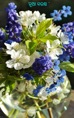 "ନୂଆ ବରଷ "