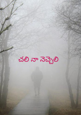 చలి నా నెచ్చెలి
