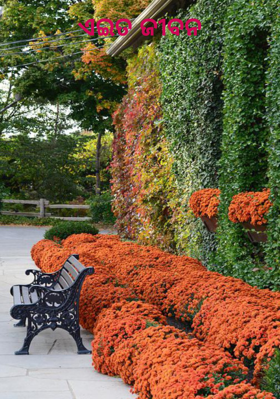 ଏଇତ ଜୀବନ