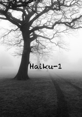 Haiku-1