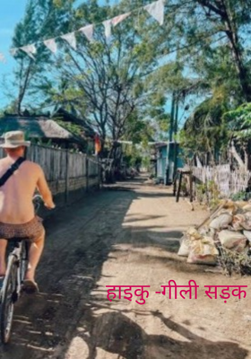 हाइकु -गीली सड़क 