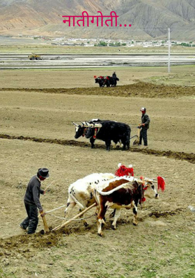 नातीगोती...
