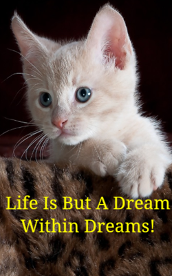 Life Is But A Dream Within Dreams!