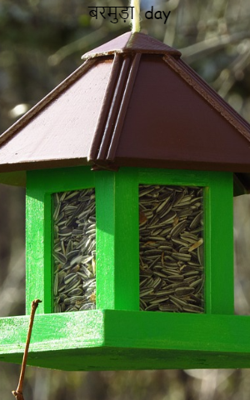 बरमुड़ा डे