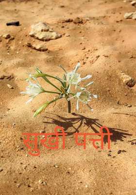 सूखी पत्ती