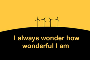 I always wonder how wonderful I am 