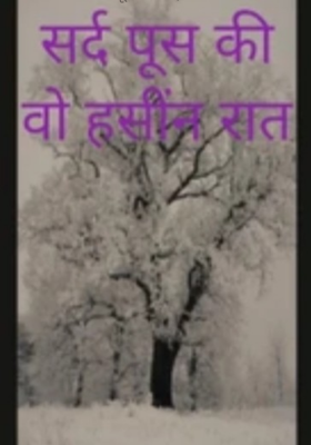 सर्द पूस की वो हसींन रात