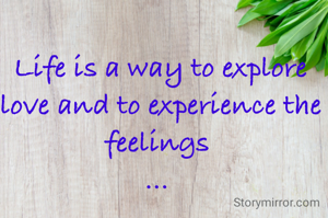 Life is a way to explore love and to experience the feelings 
... 