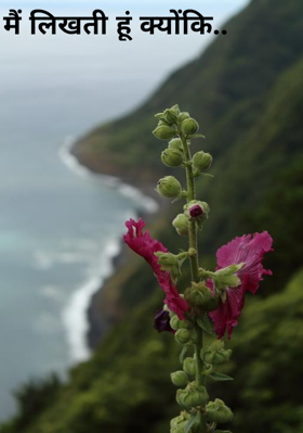 मैं लिखती हूं क्योंकि..