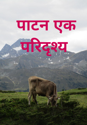 पाटन एक परिदृश्य